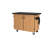 Mobile Science Cart with Shelving