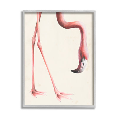 Flamant rose pliant les pieds, détail du bec