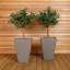 Ersula Pot Planter