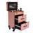 Large Cosmetic Trolley Bin With Locks-1631360484