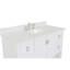 Ensemble de meuble-lavabo simple 49 po Wilhoit-27808887