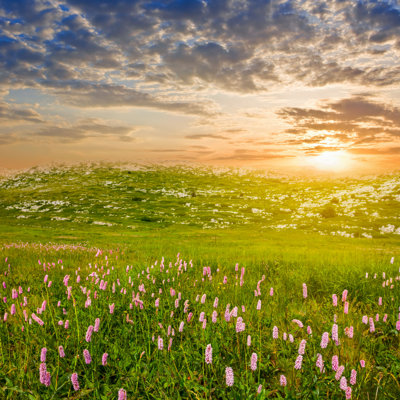 " Beautiful Prairie At Sunset "