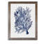 «Seaweed Under Water II», reproduction sur verre encadrée-678182226-678182312
