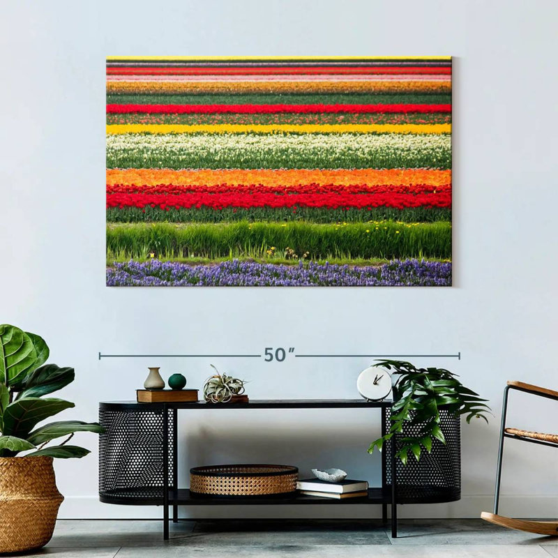 Rorry Bollenstreek Tulips, 32" H x 48" W
