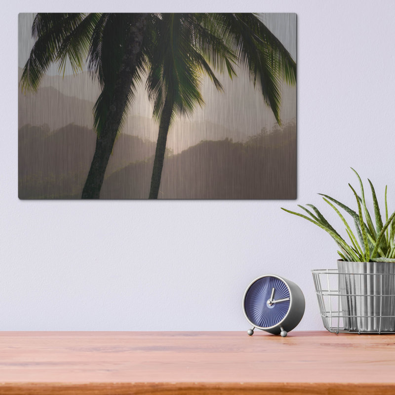 «Misty Palms I» par Dennis Frates, H 12 po x l 16 po