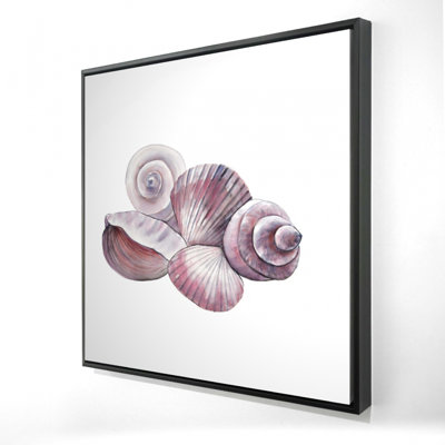 " Seaside Shells "