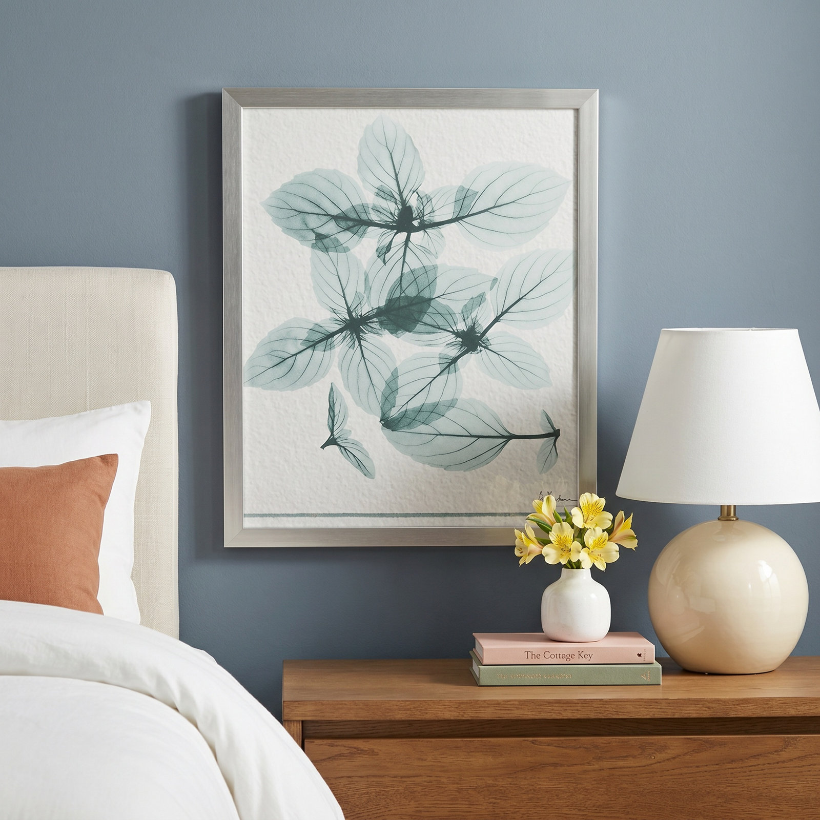 Basil Ocimum Basicicum Framed On Paper by Albert Koetsier Print, Matte Silver Framed Paper, 19" H x 16" W x 1.25" D