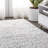 Indoor Rug-1947898853