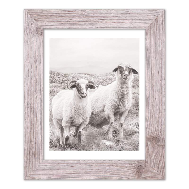 Sheep On Hill, reproduction encadrée, H 14 po x l 11 po x P 0,75 po, Blanc