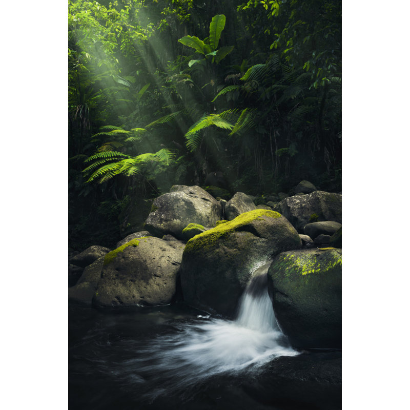 Wrapped Canvas Print, 76.2cm H x 50.8cm W