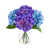 Blue/Purple
