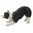 Border Collie Garden Statue