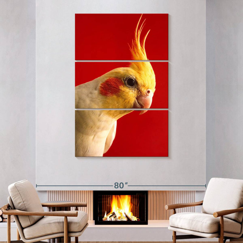 Cockatiel Brampt Lutino, H 74 po x l 48 po