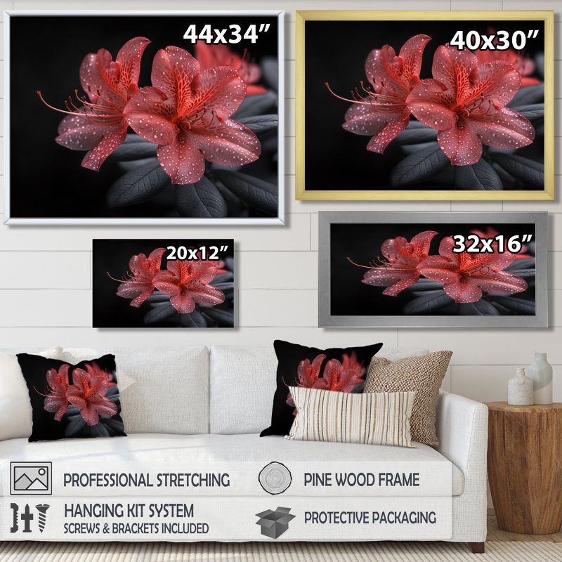 Rose, noir, rhododendron, fleur de minuit I - salon d'art mural rhododendron, Cadre flottant noir, 34" H x 44" W