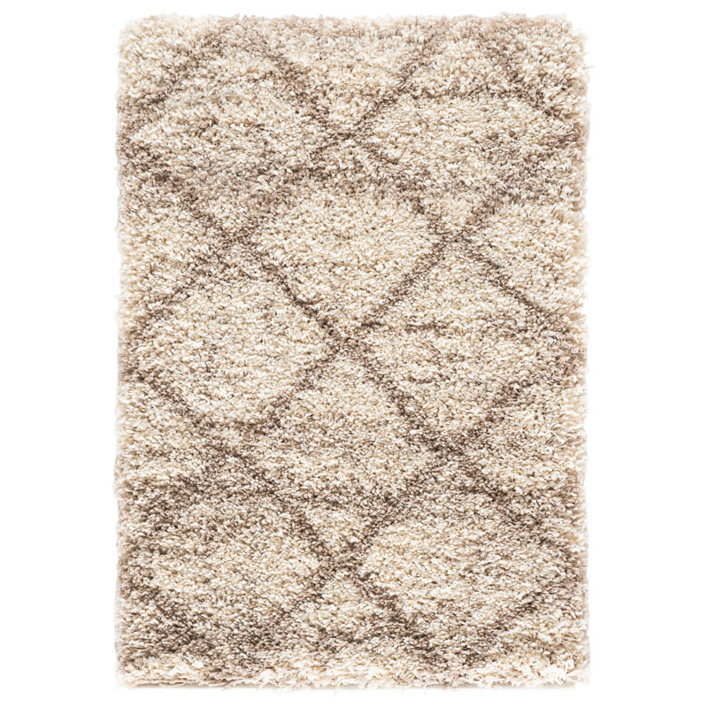 Goin Performance Geometric Rug, Rectangle 2 pi x 3 pi