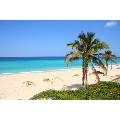 " Caribbean Beach " by Tupungato