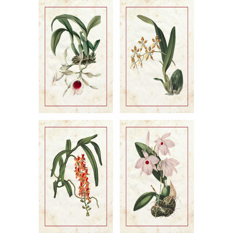 Mini Orchids - 4 Piece Wrapped Canvas Print, 30cm H x 20cm W x 3.8cm D
