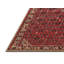 Tapis oriental noir / rouge-374805953