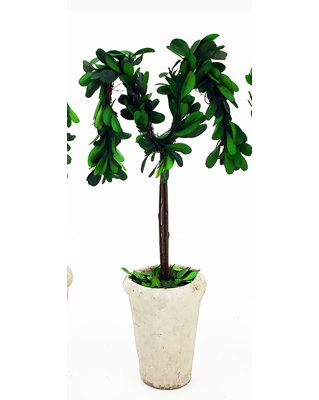 Nabors 13 " H Faux Boxwood Tree