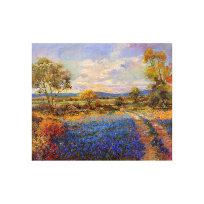 Blue Fields Print by Michael Longo