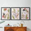 Birds in Motion IV - Impression encadrée personnalisée de qualité supérieure - 3 pièces-818625514-818625515