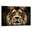 The Lion by SD Smart - Wrapped Canvas Print-49988006