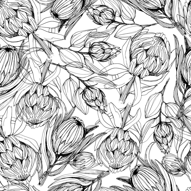 Black And White Protea Wallpaper Peel & Stick Floral Tile, 10.4' L x 125" W