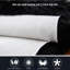 Ismene Solid Colour Shag Area Rug-846224127-909713855