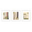 Again in Green, Set of 3 by Driftway Studio - Framed Wall Art-295797059-295797063