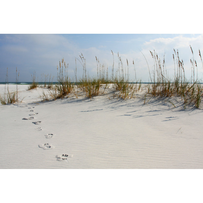 Steps Long Beach Beach - Photographie sur toile tendue, H 32 po x l 48 po
