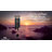 Wood Astrology & Stars Wind Chime-66167238