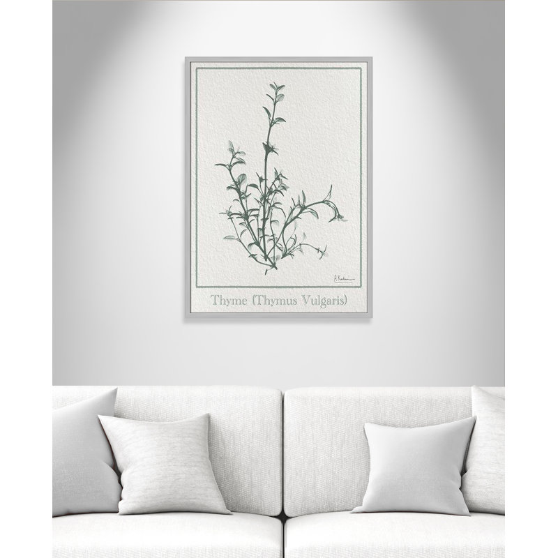 «Jeanette Thymus Vulgaris», reproduction d'art encadrée sur papier par Albert Koetsier, H 35,5 po x l 25,5 po x P 1,25 po