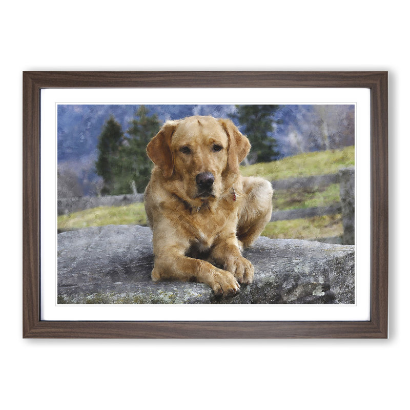 Golden Labrador Dog Vol.2 - Picture Frame Painting, 36cm H x 48cm W x 2cm D, Walnut Framed