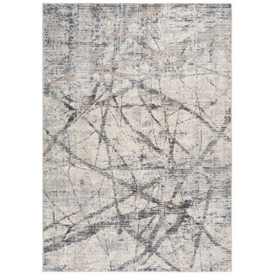 Spectrum Performance Abstract Indoor Rug