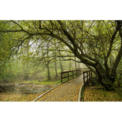 Natural Park Of Montseny by GeoJGomez - Wrapped Canvas Print