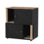 Double Cat Litter Box Cabinet, Hidden Enclosure with Sisal Posts & Mat, x-Black-130624358