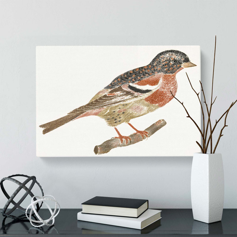 Bullfinch by Johan Teyler - Wrapped Canvas, 35cm H x 50cm W x 3cm D