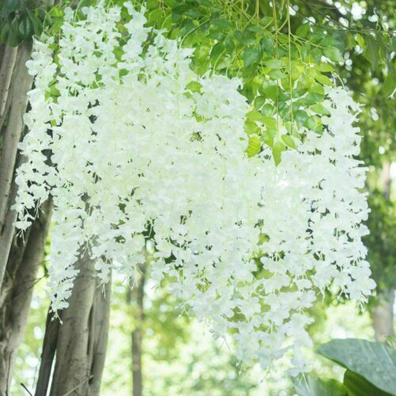 Arrangement Wisteria, Blanc