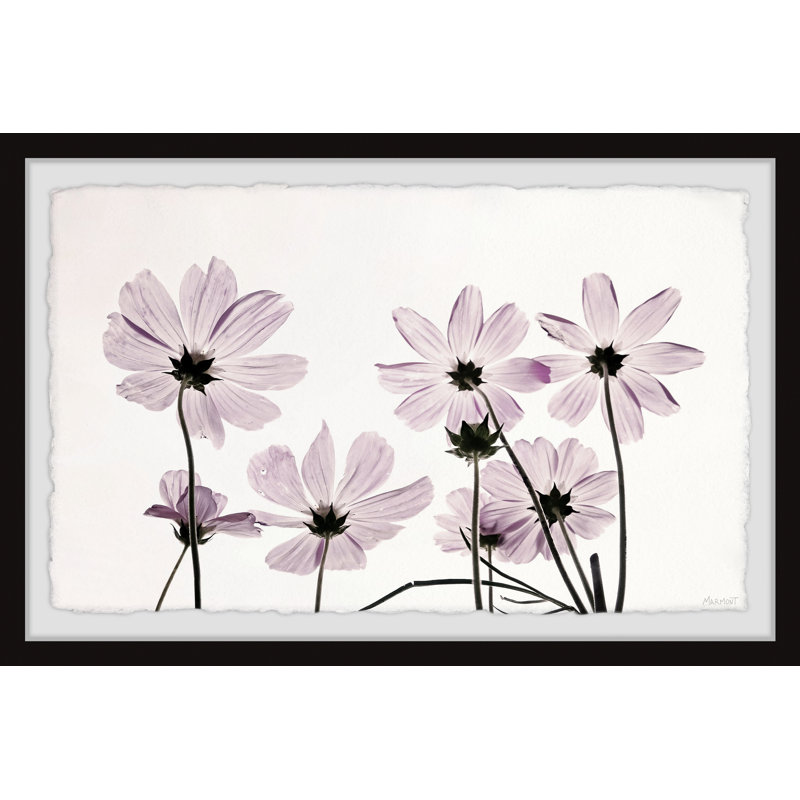 Find Your Fire by Marmont Hill - Single Picture Frame Painting, 20cm H x 30cm W x 3.81cm D