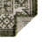 Outdoor Chand Area Rug Ivory-Green Color-2117883938