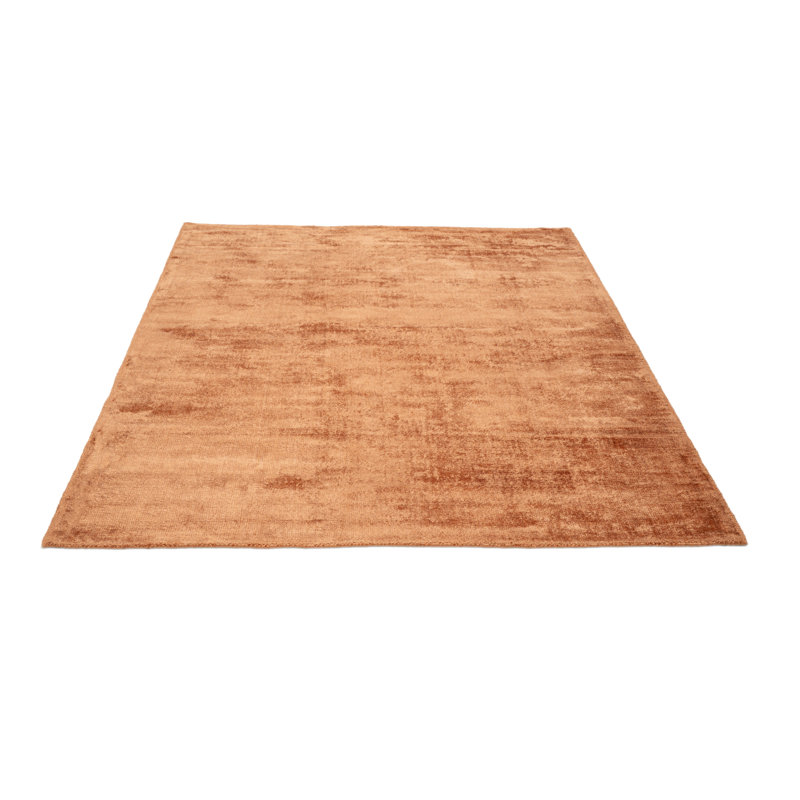 Shine Viscose Hand Woven Area Rug, Rectangle 160 x 230cm