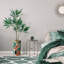 66 plantes-97701523