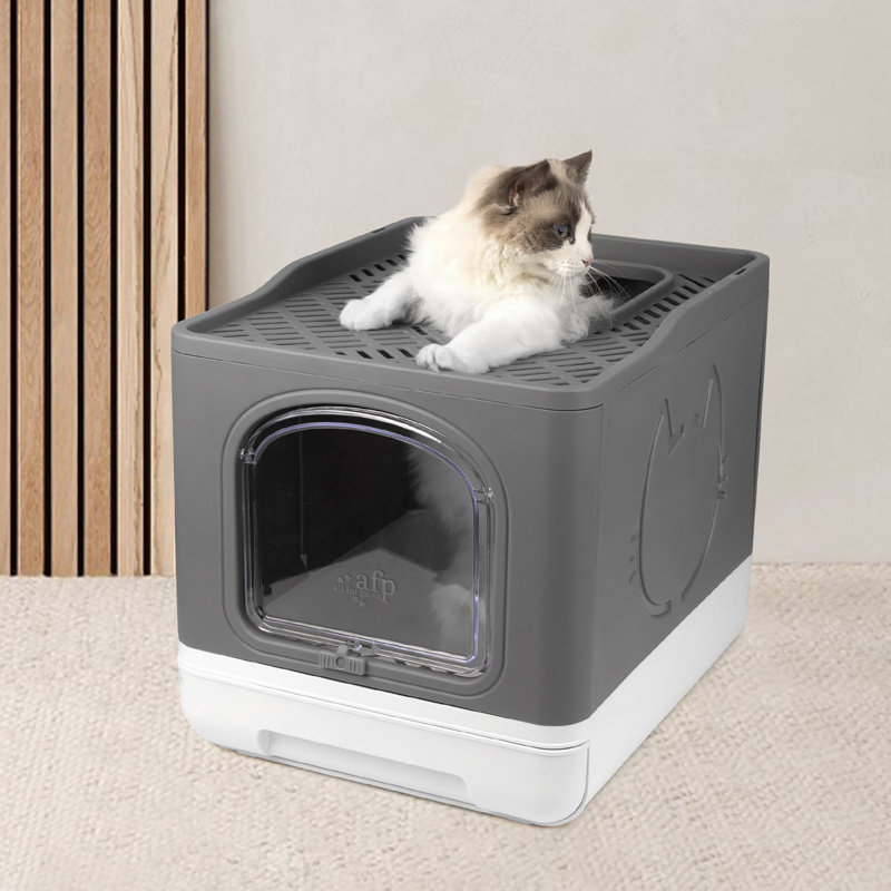 Litière pliable pour chat avec toilette anti-éclaboussures, Gris
