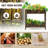 Kenyota Indoor / Outdoor Raised Garden Bed and Elevated Planter