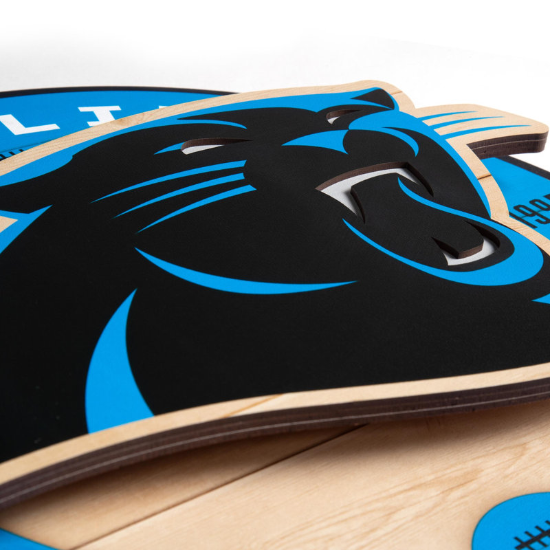 NFL Carolina Panthers 3DX Circle Wall Art