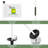 Masters Plastic Golf