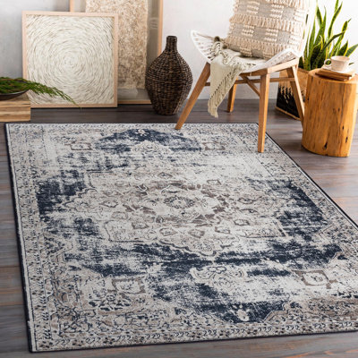 Bilski Oriental Area Rug