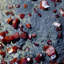 Cristal matriciel Waeth Vanadinite