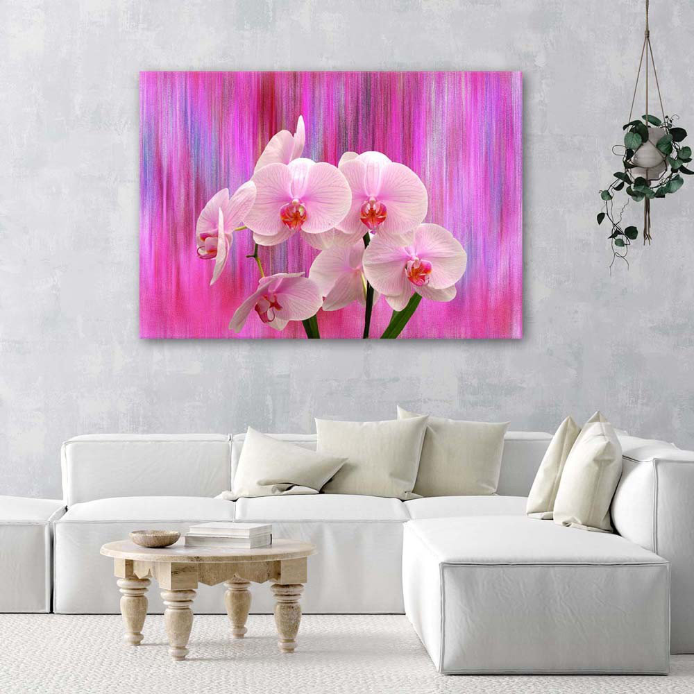 Leinwandbild Orchid Pink Nature Plants