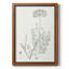 «Botanical Study In Sage V», toile encadrée de qualité supérieure - prête à être accrochée-71734921